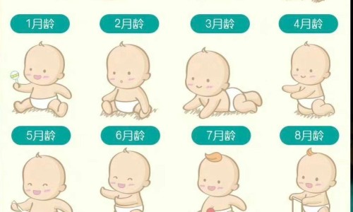 归芪三归芪三七口服液价格-专业归芪三七口服液适用群平台-归芪三七口服图片