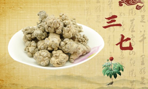 归芪三七口服液适用人群-归芪三归芪三七口服液价格-专业归芪三七口服液适用群平台-归芪三七口服图片
