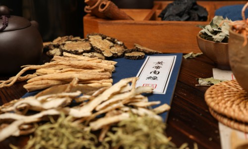 归芪三七口服液价格查询-归芪三归芪三七口服液价格-专业归芪三七口服液适用群平台-归芪三七口服图片